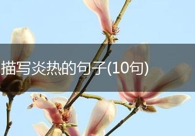 描写炎热的句子(10句)