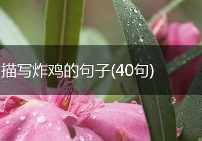 描写炸鸡的句子(40句)