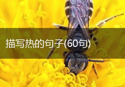描写热的句子(60句)