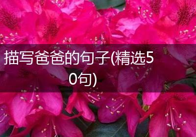 描写爸爸的句子(精选50句)