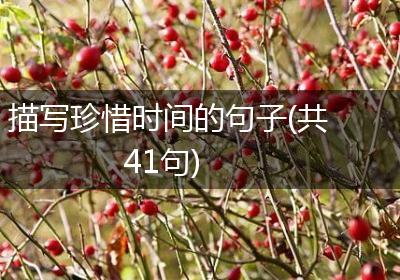描写珍惜时间的句子(共41句)