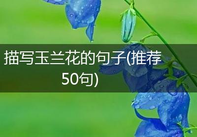 描写玉兰花的句子(推荐50句)