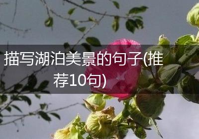 描写湖泊美景的句子(推荐10句)