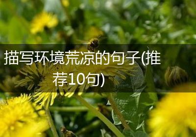 描写环境荒凉的句子(推荐10句)
