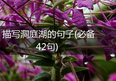 描写洞庭湖的句子(必备42句)
