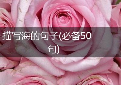 描写海的句子(必备50句)