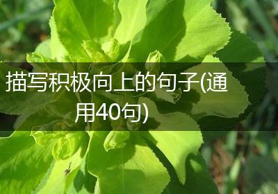描写积极向上的句子(通用40句)