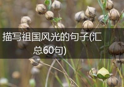 描写祖国风光的句子(汇总60句)