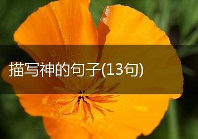 描写神的句子(13句)