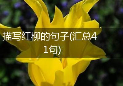 描写红柳的句子(汇总41句)