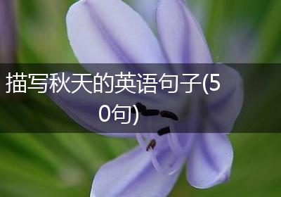 描写秋天的英语句子(50句)