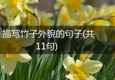 描写竹子外貌的句子(共11句)