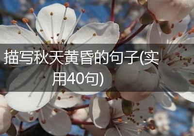 描写秋天黄昏的句子(实用40句)