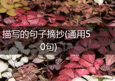 描写的句子摘抄(通用50句)