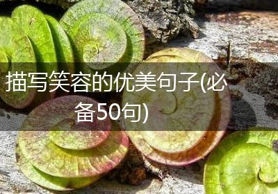 描写笑容的优美句子(必备50句)