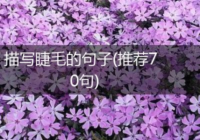 描写睫毛的句子(推荐70句)