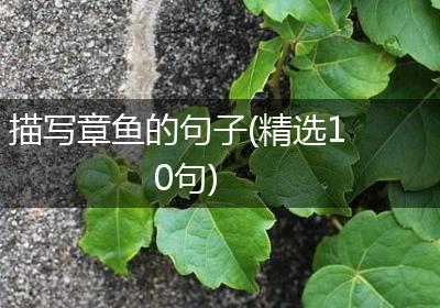 描写章鱼的句子(精选10句)