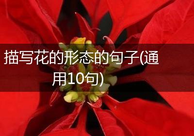 描写花的形态的句子(通用10句)