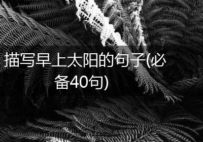 描写早上太阳的句子(必备40句)