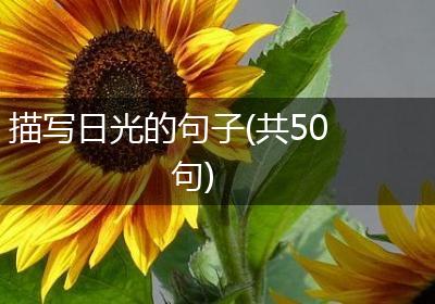 描写日光的句子(共50句)