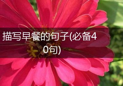 描写早餐的句子(必备40句)