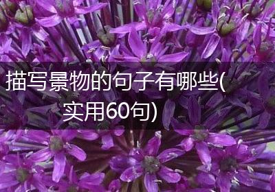 描写景物的句子有哪些(实用60句)