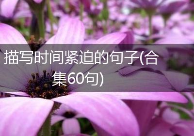 描写时间紧迫的句子(合集60句)