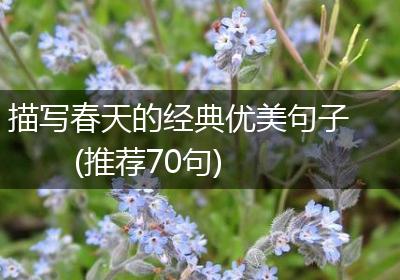 描写春天的经典优美句子(推荐70句)