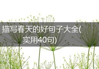 描写春天的好句子大全(实用40句)
