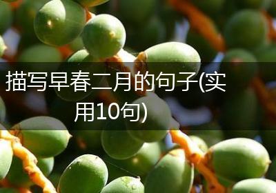 描写早春二月的句子(实用10句)
