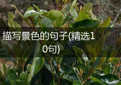描写景色的句子(精选10句)