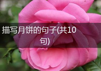 描写月饼的句子(共10句)