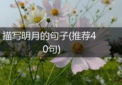 描写明月的句子(推荐40句)