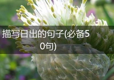 描写日出的句子(必备50句)