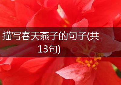 描写春天燕子的句子(共13句)