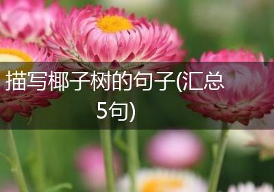 描写椰子树的句子(汇总5句)