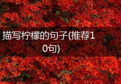 描写柠檬的句子(推荐10句)