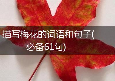 描写梅花的词语和句子(必备61句)
