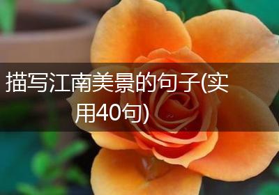 描写江南美景的句子(实用40句)