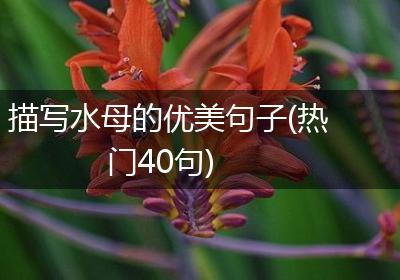 描写水母的优美句子(热门40句)