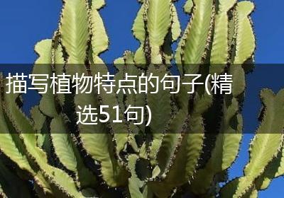 描写植物特点的句子(精选51句)