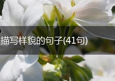 描写样貌的句子(41句)