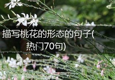 描写桃花的形态的句子(热门70句)