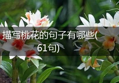 描写桃花的句子有哪些(61句)