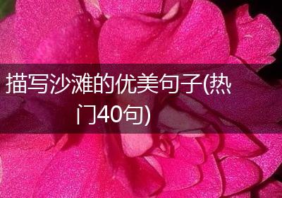 描写沙滩的优美句子(热门40句)