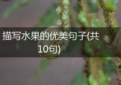 描写水果的优美句子(共10句)