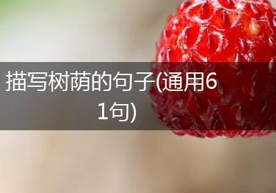 描写树荫的句子(通用61句)