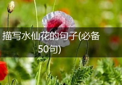 描写水仙花的句子(必备50句)