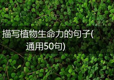 描写植物生命力的句子(通用50句)