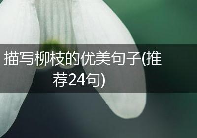 描写柳枝的优美句子(推荐24句)